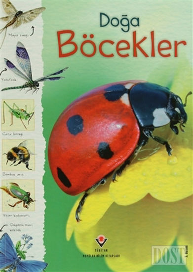 Doğa: Böcekler